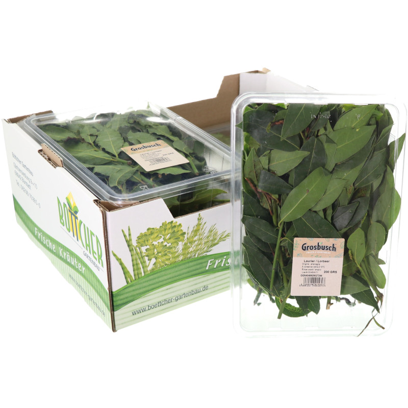 LAURIER GROSBUSCH 4X200G